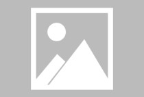 PG游艺旺旺旺2带来的轻松娱乐体验与玩法观察